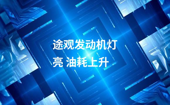 途观发动机灯亮 油耗上升